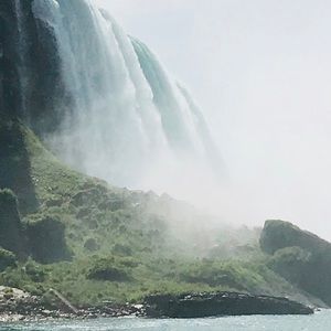 Meet your Posher, Songul